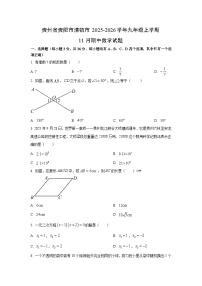 贵州省贵阳市清镇市2025-2026学年九年级上学期11月期中数学试题（学生版）