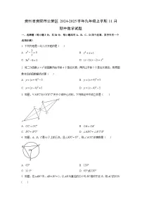 贵州省贵阳市云岩区2024-2025学年九年级上学期11月期中数学试题（学生版）
