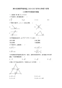 贵州省贵阳市南明区2024-2025学年七年级下学期4月期中考试数学试题（学生版）