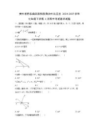贵州省黔东南苗族侗族自治州从江县2024-2025学年七年级下学期4月期中考试数学试题（学生版）