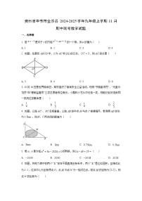 贵州省毕节市金沙县2024-2025学年九年级上学期11月期中联考数学试题（学生版）