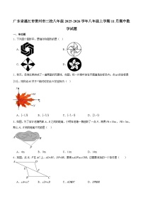 广东省湛江市雷州市三校联考2025-2026学年八年级上学期11月期中考试 数学试卷