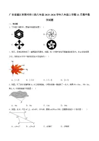 广东省湛江市雷州市三校联考2025-2026学年八年级上学期11月期中考试 数学试卷