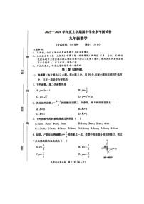 广西百色市田阳区2025-2026学年九年级上学期11月期中 数学试题（图片版）