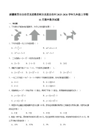 新疆维吾尔自治区克孜勒苏柯尔克孜自治州2025-2026学年九年级上学期11月期中考试 数学试卷