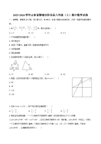2025-2026学年山东省聊城市阳谷县八年级（上）期中数学试卷-自定义类型