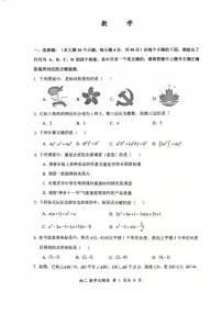 重庆市鲁能巴蜀中学校2025-2026学年八年级上学期期中数学考试试卷