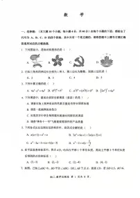 重庆市鲁能巴蜀中学校2025-2026学年八年级上学期期中数学考试试卷