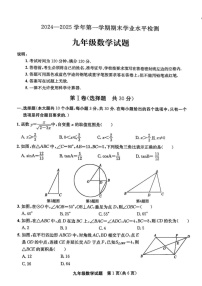 山东省聊城市高唐县2024-2025学年九年级上学期期末考试数学试题