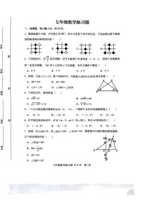 山东省泰安市岱岳区2024-2025学年上学期七年级数学期末试题