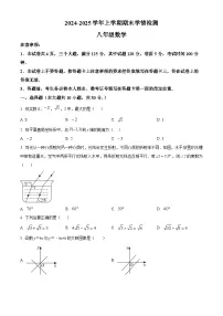 精品解析：河南省平顶山市郏县2024-2025学年八年级上学期期末学情检测数学试卷+答案