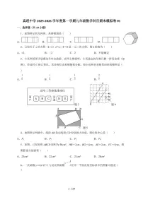 广东省揭阳市榕城区真理中学2025~2026学年上学期九年级数学期末模拟卷（含答案）