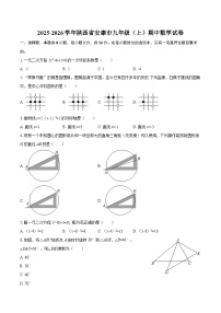 2025-2026学年陕西省安康市九年级（上）期中数学试卷-自定义类型