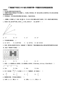 广西省南宁市名校2026届七年级数学第一学期期末质量跟踪监视试题含解析