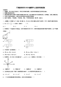 广西省来宾市2026届数学七上期末检测试题含解析