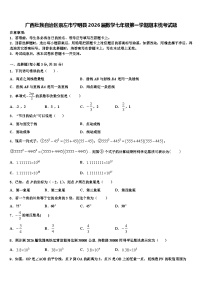 广西壮族自治区崇左市宁明县2026届数学七年级第一学期期末统考试题含解析