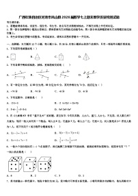 广西壮族自治区河池市凤山县2026届数学七上期末教学质量检测试题含解析
