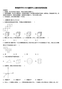 贵州省毕节市2026届数学七上期末质量检测试题含解析