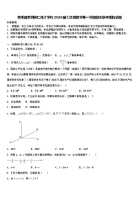 贵州省贵州铜仁伟才学校2026届七年级数学第一学期期末联考模拟试题含解析