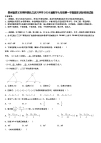 贵州省遵义市桐梓县私立达兴中学2026届数学七年级第一学期期末达标检测试题含解析