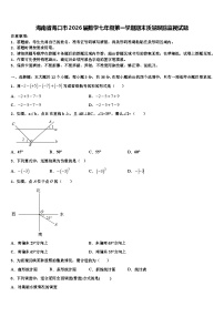 海南省海口市2026届数学七年级第一学期期末质量跟踪监视试题含解析