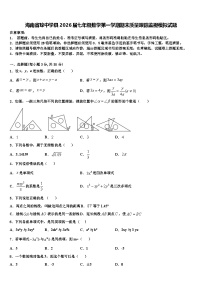 海南省琼中学县2026届七年级数学第一学期期末质量跟踪监视模拟试题含解析