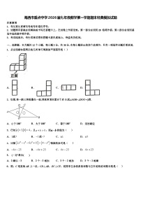 海西市重点中学2026届七年级数学第一学期期末经典模拟试题含解析