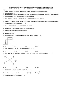 海南市重点中学2026届七年级数学第一学期期末达标检测模拟试题含解析
