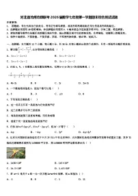 河北省沧州沧县联考2026届数学七年级第一学期期末综合测试试题含解析