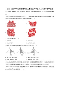 2025-2026学年山东省德州市天衢新区八年级（上）期中数学试卷-自定义类型