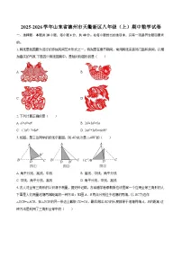 2025-2026学年山东省德州市天衢新区八年级（上）期中数学试卷-自定义类型