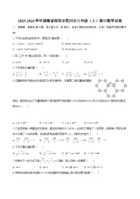 2025-2026学年湖南省邵阳市武冈市八年级（上）期中数学试卷-自定义类型