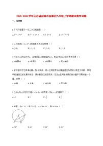 2025~2026学年江苏省盐城市盐都区九年级上学期期末数学检测试题【含解析】