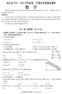 四川省内江市2024-2025学年九年级上学期期末检测数学试题