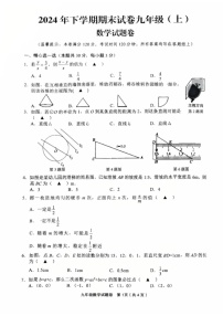 浙江省金华市东阳市2024-2025学年九年级上学期1月期末考试数学试题