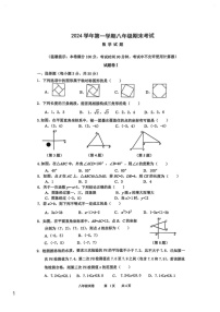 浙江省宁波市鄞州区2024—-2025学年上学期八年级数学期末试卷