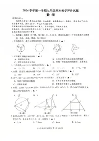 浙江省台州市2024—-2025学年九年级上学期期末数学卷