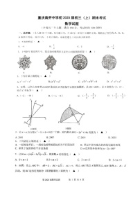 重庆市南开中学校2024-2025学年九年级上学期期末考试数学试题