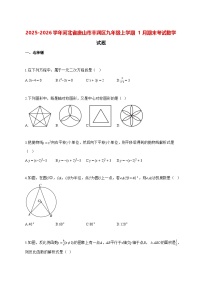 2025—2026学年河北省唐山市丰润区九年级上册1月期末考试数学试卷 [有答案]