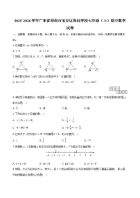 2025-2026学年广东省深圳市宝安区海旺学校七年级（上）期中数学试卷（有答案和解析）