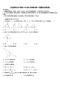 河北省邢台市宁晋县2026届七年级数学第一学期期末经典试题含解析