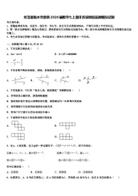 河北省衡水市景县2026届数学七上期末质量跟踪监视模拟试题含解析