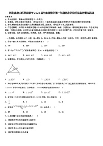 河北省唐山乐亭县联考2026届七年级数学第一学期期末学业质量监测模拟试题含解析