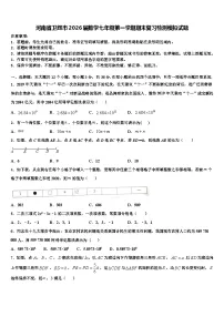 河南省卫辉市2026届数学七年级第一学期期末复习检测模拟试题含解析