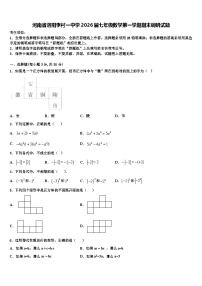 河南省洛阳李村一中学2026届七年级数学第一学期期末调研试题含解析