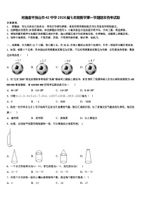 河南省平顶山市42中学2026届七年级数学第一学期期末统考试题含解析