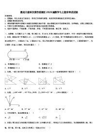 黑龙江省哈尔滨市道里区2026届数学七上期末考试试题含解析