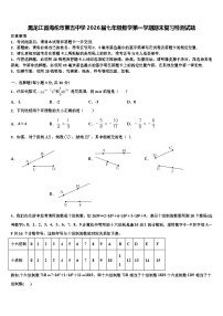 黑龙江省海伦市第五中学2026届七年级数学第一学期期末复习检测试题含解析