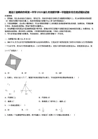 黑龙江省鹤岗市绥滨一中学2026届七年级数学第一学期期末综合测试模拟试题含解析