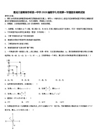 黑龙江省鹤岗市绥滨一中学2026届数学七年级第一学期期末调研试题含解析
